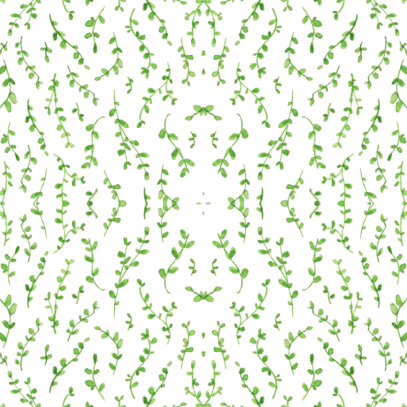 800x800 Watercolor Vines Wallpaper