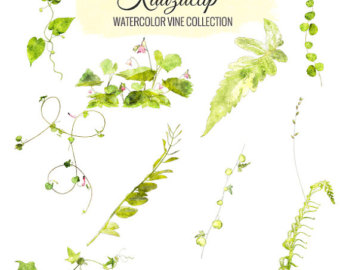 340x270 Watercolor Vine Etsy