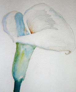 246x297 Fine Art, Flower Composition, Calla Lilies, John Held, Vintage