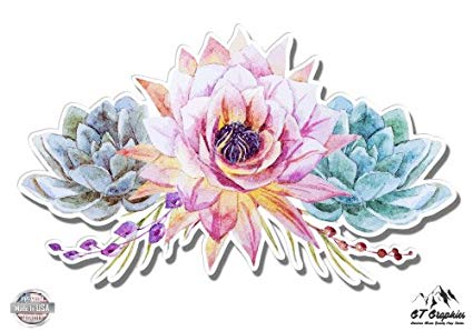 425x298 Succulents Flowers Cute Watercolor