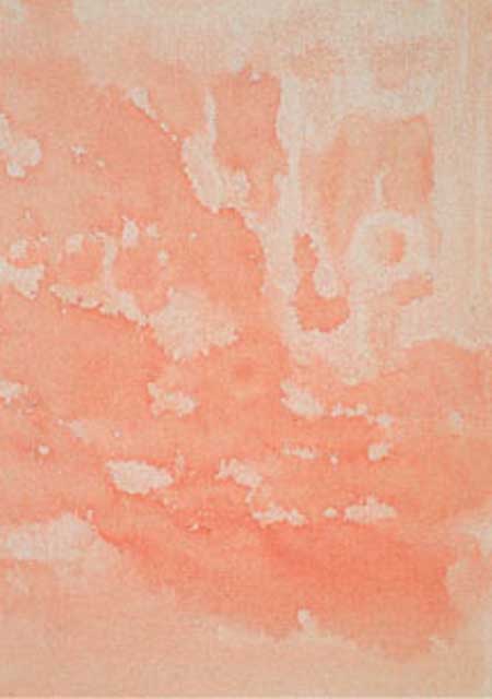 450x640 Alcohol Blotting Plastic Wrap