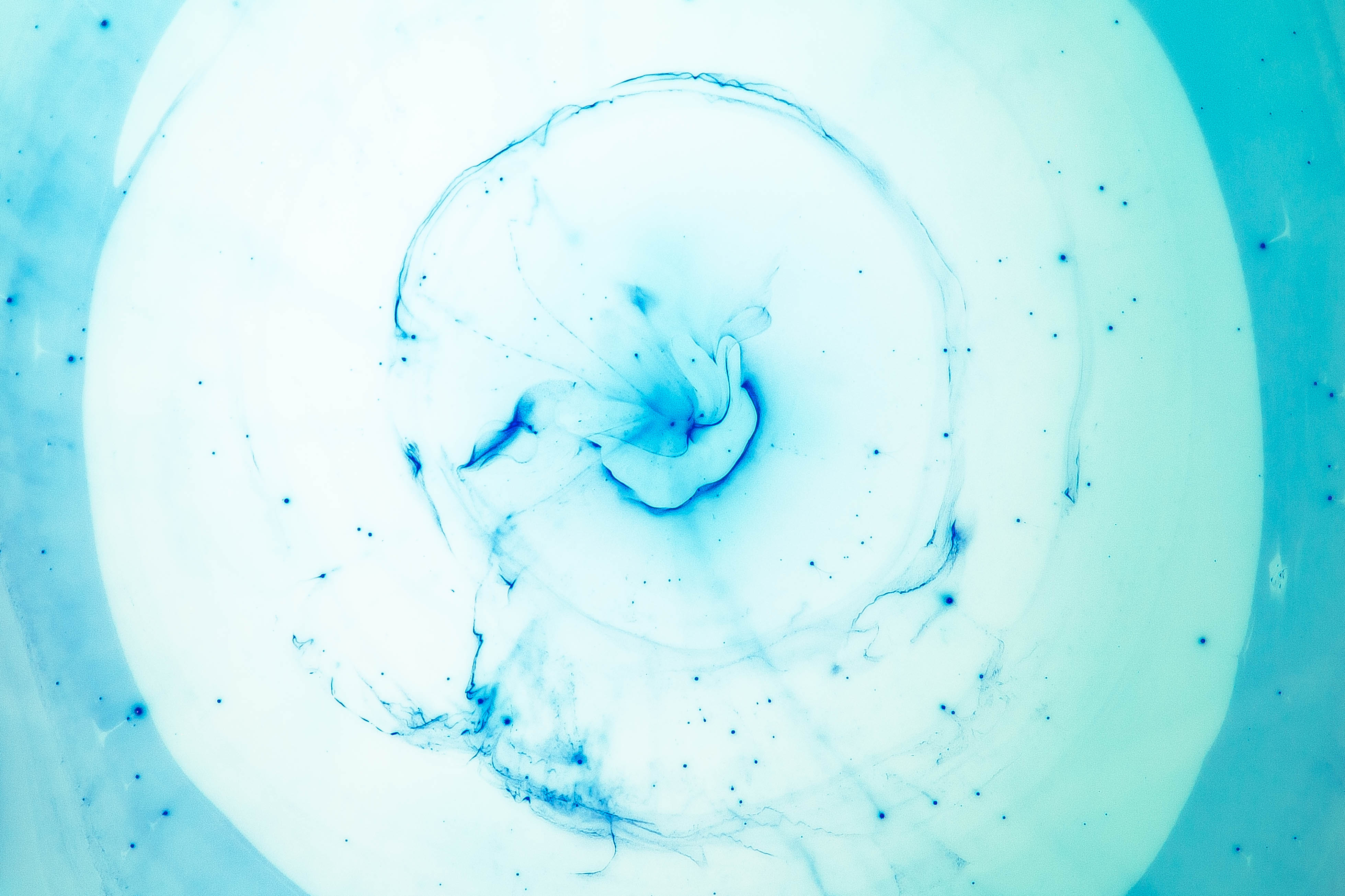 3917x2611 Free Images Water, Blue, Circle, Swirl, Watercolor, Turquoise