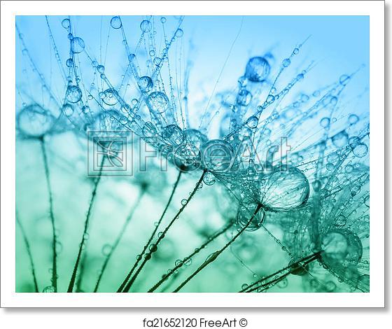 560x470 Free Art Print Of Abstract Macro Photo Of Plant Seeds With Water