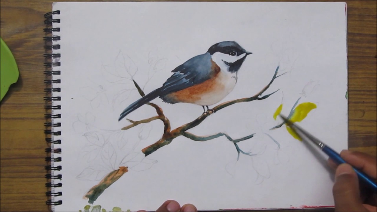1280x720 How To Paint A Bird In Watercolor,watercolor Painting For