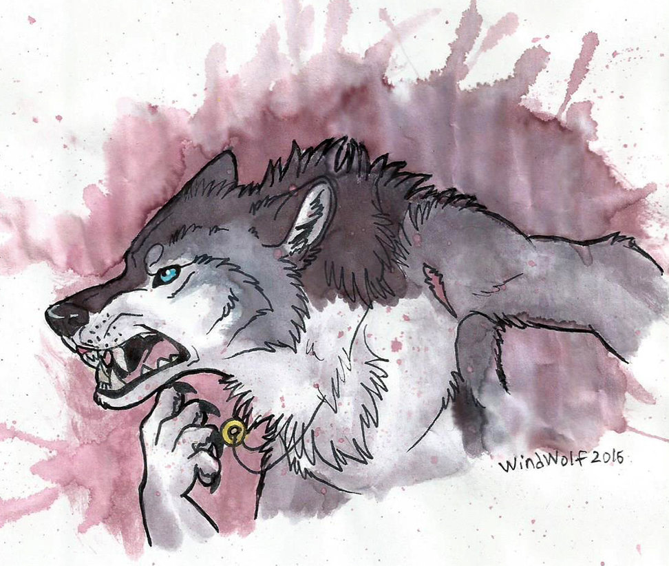 972x822 Watercolor Werewolf By Windwo1f