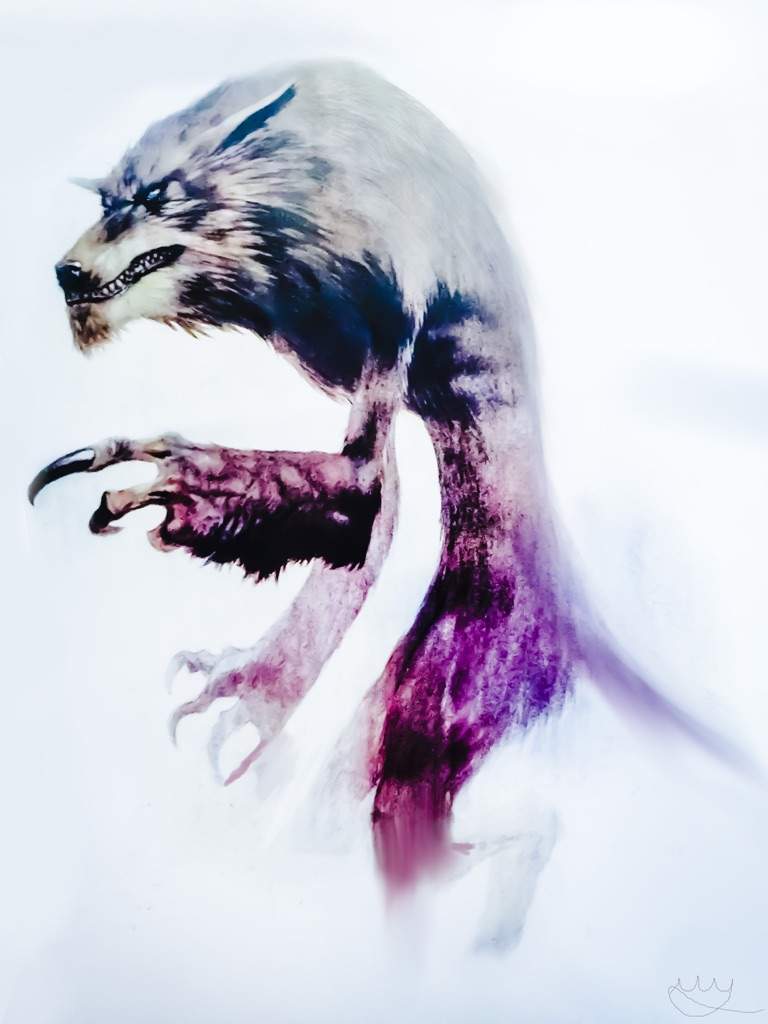 768x1024 Watercolour Werewolf Art Amino