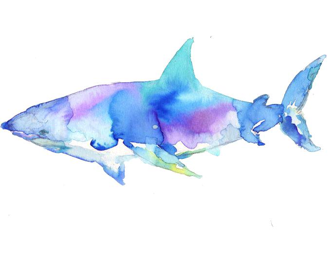 680x540 Shark Pictures To Print Packed With Great White Watercolor Print