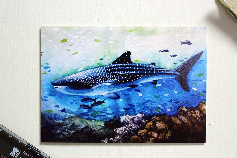 800x533 Tofu Shark Spot Spot Whale Shark Postcard Watercolor