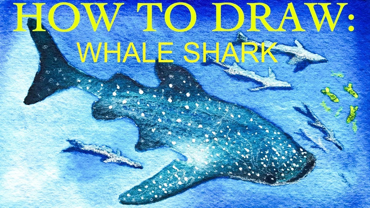 1280x720 Whale Shark Watercolor Speedpaint Watercolor Tips (With My