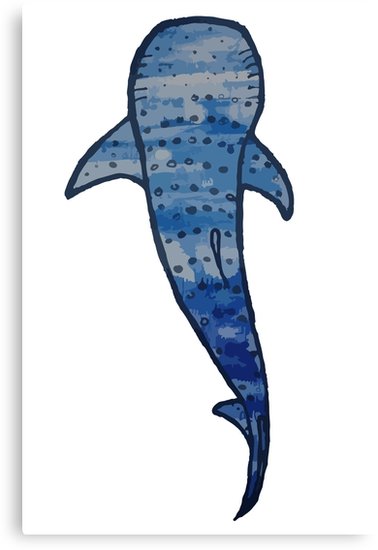 378x550 Watercolor Whale Shark Canvas Prints By Kaylahall505 Redbubble