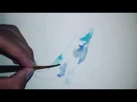 480x360 Watercolor Painting ( Whale Shark)