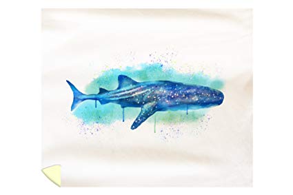 425x283 Lantern Press Whale Shark