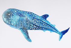 236x160 Whale Shark Art Whale Sharks, Outlines And Shark