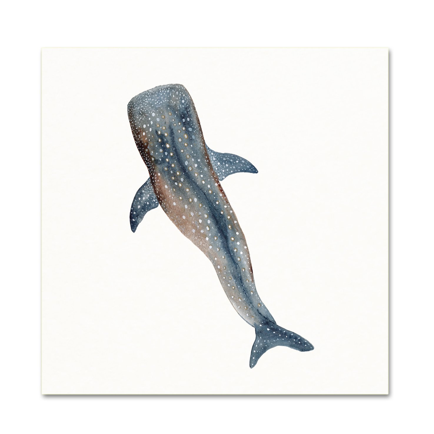 1475x1475 Whale Shark Art Print
