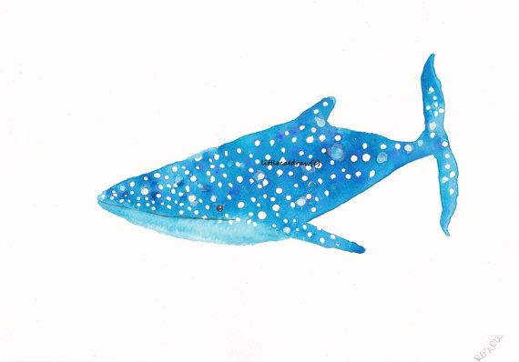 570x398 Whale Shark Print Art Painting Blue Whale Shark Watercolor
