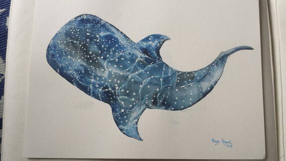 570x321 Whale Shark Whale Shark Watercolour Watercolor Whale Shark Etsy