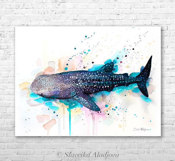 570x524 Whale Shark 2 Watercolor Painting Print By Slaveika Aladjova Etsy