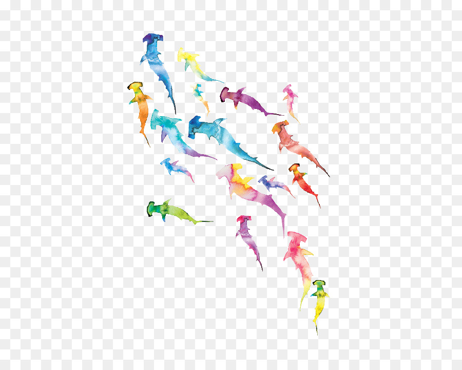 900x720 Whale Shark Watercolor Painting Great White Shark