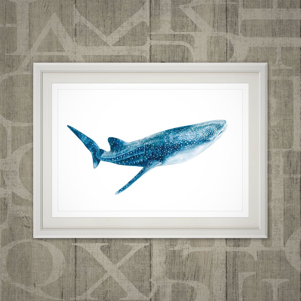 1024x1024 Whale Shark Print Wa Naturally