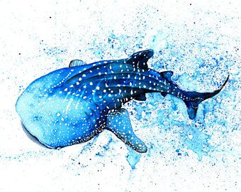 340x270 Image Result For Whale Shark Watercolor Tattoos