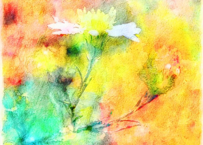 700x500 Watercolor Wildflowers