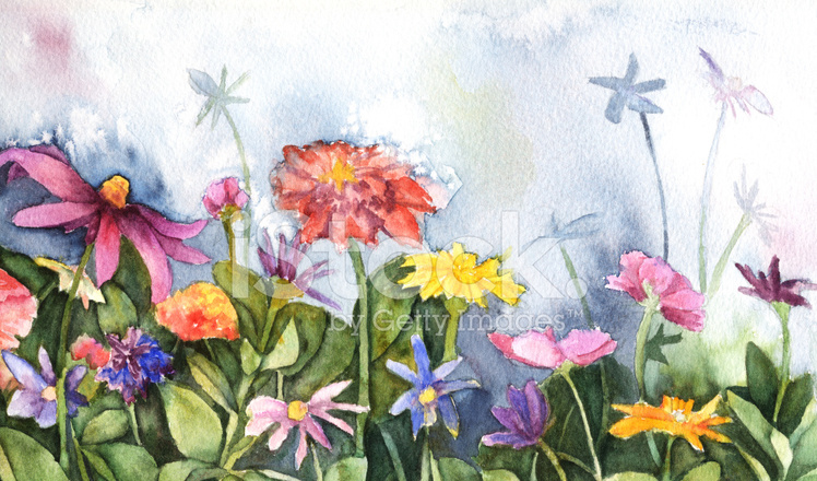 748x440 Watercolor Wildflowers Stock Vector