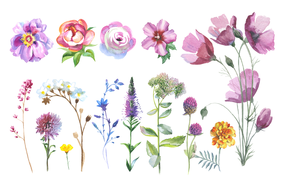 1160x772 Wild Flowers Watercolor Png Clipart