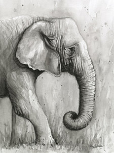 225x300 Elephant Watercolor Paintings Fine Art America