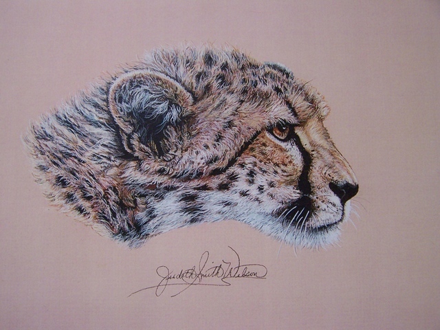 640x480 Judith Smith Wilson Artwork Duma The Cheetah Original