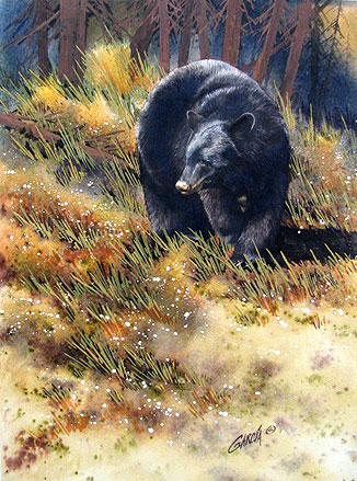 326x439 Original Watercolor Paintings Wildlife Artist Joe Garcia