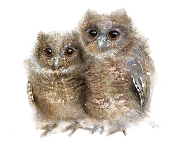 570x461 Owl Items By Miraguerquin