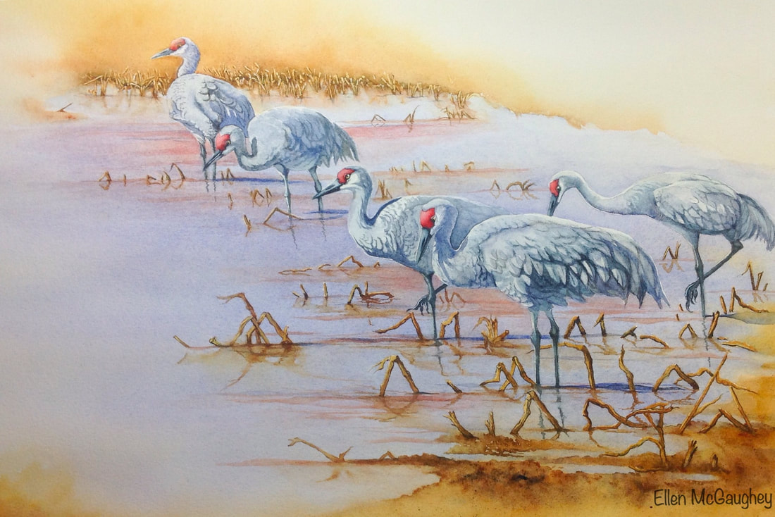 1100x734 Wildlife Watercolors And Acrylics, Pet Portraits