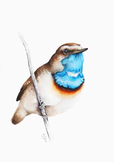 375x533 Bluethroat, Birds And Wildlife Watercolour Painting By Karolina