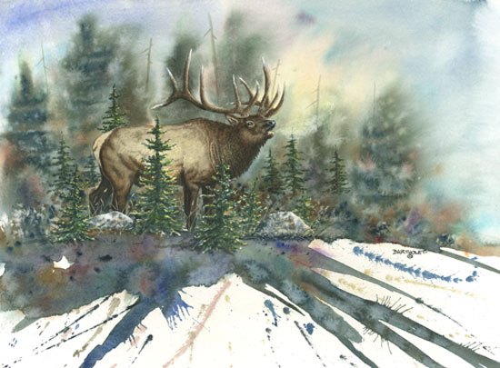 550x405 Dave Bartholet Wildlife Artist