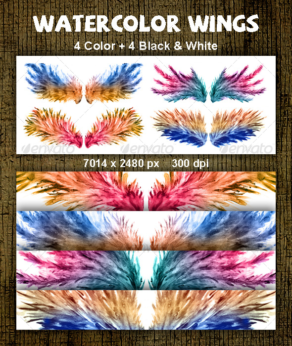 590x700 Watercolor Wings By Tomoshiuz Graphicriver