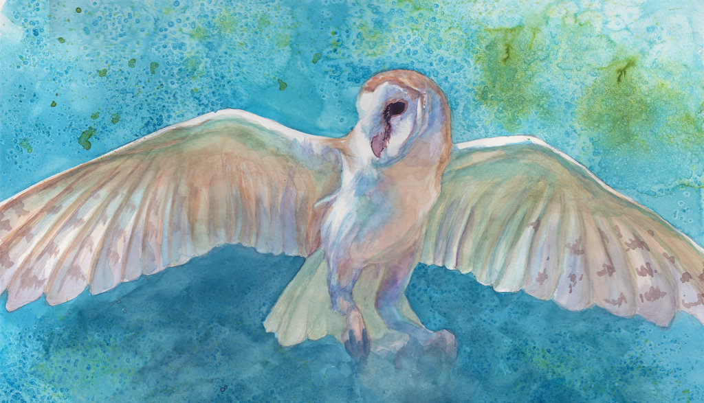 1024x587 Watercolor Wings By Novawuff