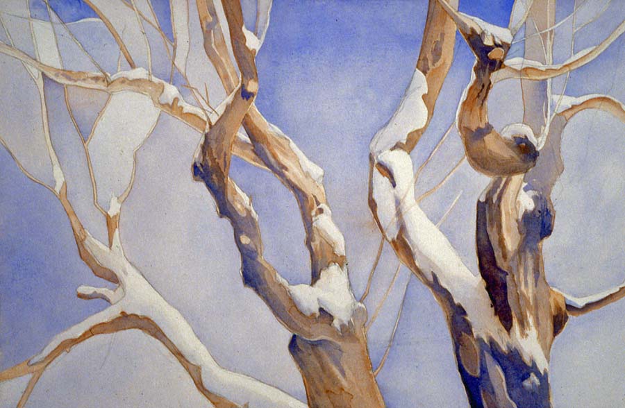 900x588 Winter Trees Greg Foundmyself