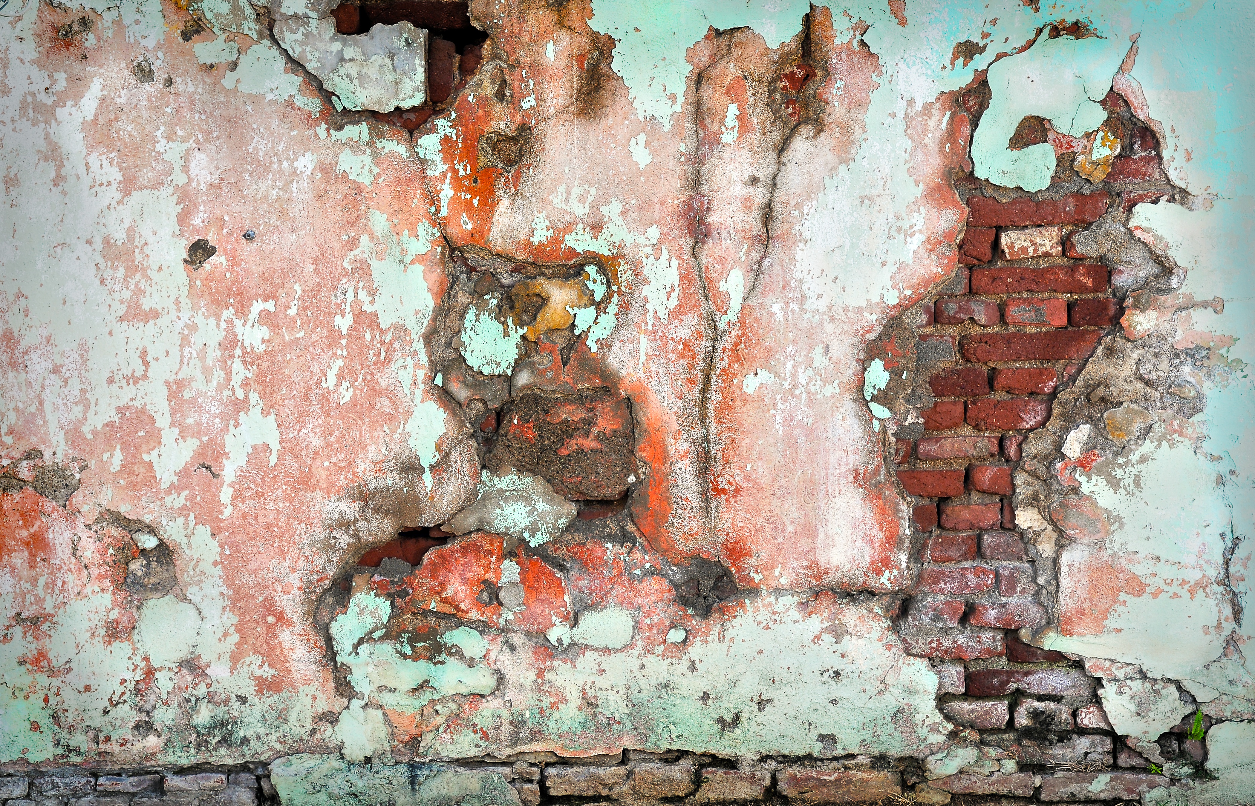4200x2700 Free Images Tree, Abstract, Wood, Texture, Wall, Color, Brick
