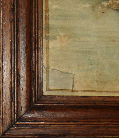 388x450 Natural History Art, Birds, Female Summer Duck Of Georgia, Antique