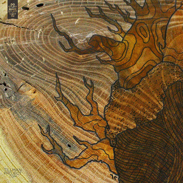 600x600 Stumped On Behance