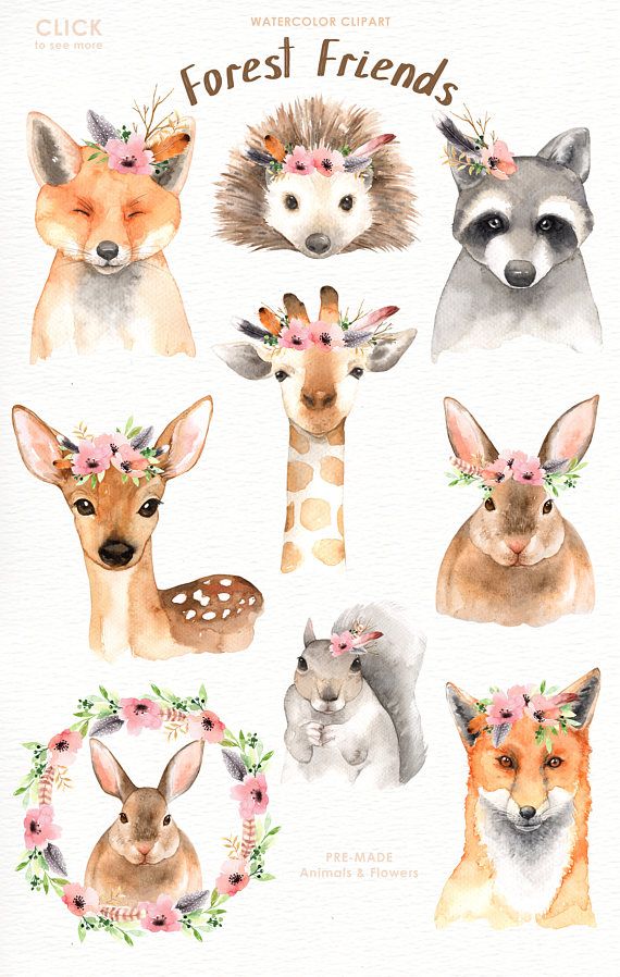 570x898 Forest Friends Watercolor Clip Art,woodland Animals, Kids Clipart