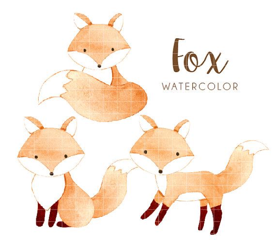 570x496 Water Color Clipart Cartoon