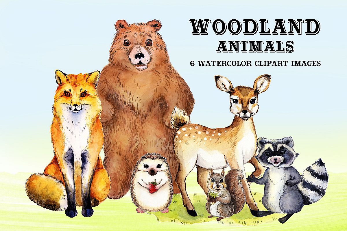 1200x800 Watercolor Woodland Animals