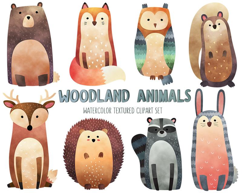 800x640 Watercolor Woodland Animals Clipart