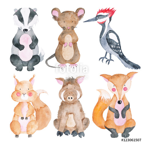 500x500 Woodland Animals Set Of Watercolor Illustrations Cute Animals