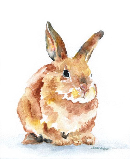 500x613 Woodland Animals Watercolor Note Card Set By Susanwindsor On Etsy
