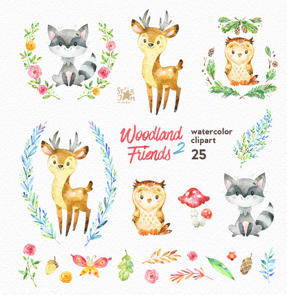 570x586 Woodland Friends 2. Watercolor Animals Clipart, Forest, Deer