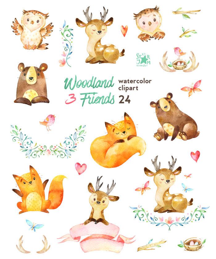 700x837 Woodland Friends 3. Watercolor Animals Clipart By Starjamforkids