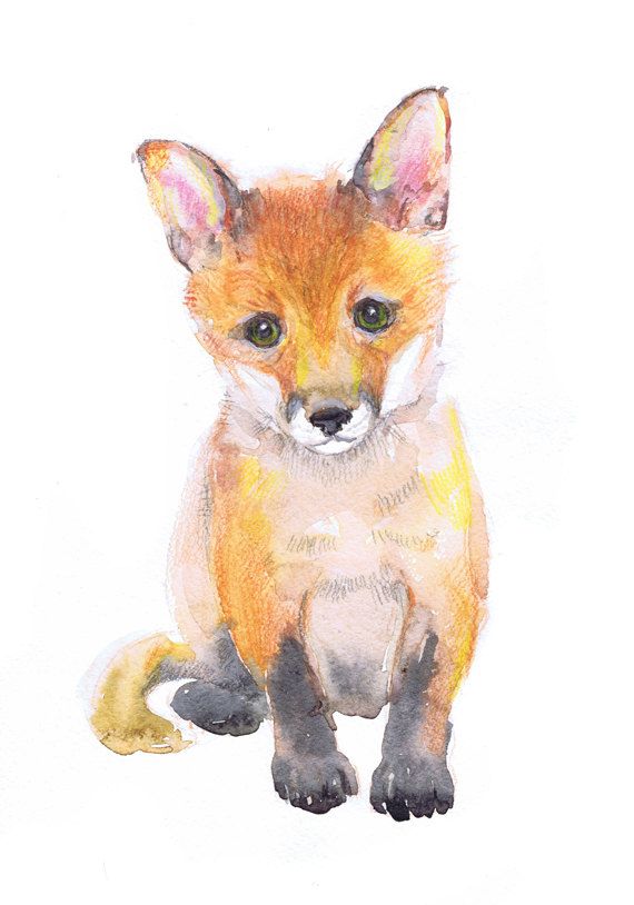 570x814 Baby Fox Art Watercolor Painting, Baby Prints Boy Girl Nursery