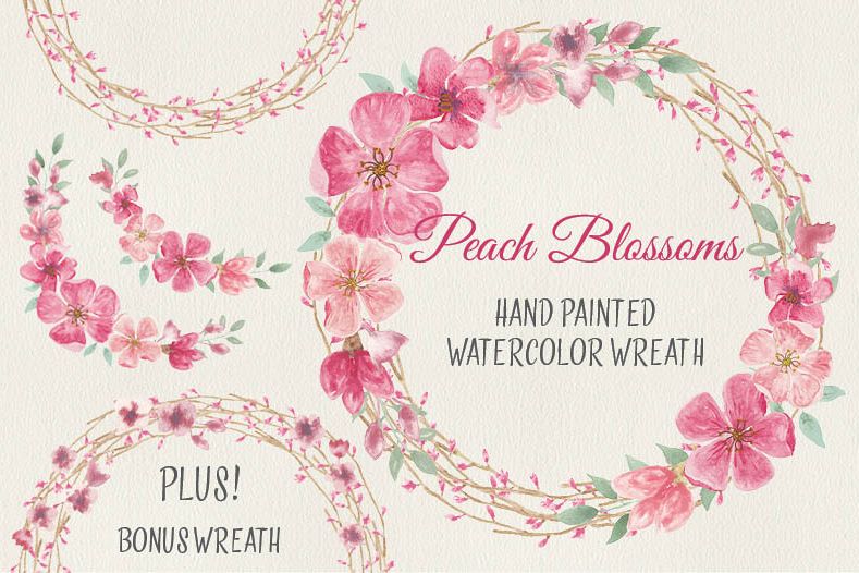 789x526 Watercolor Wreath Of Peach Blossoms